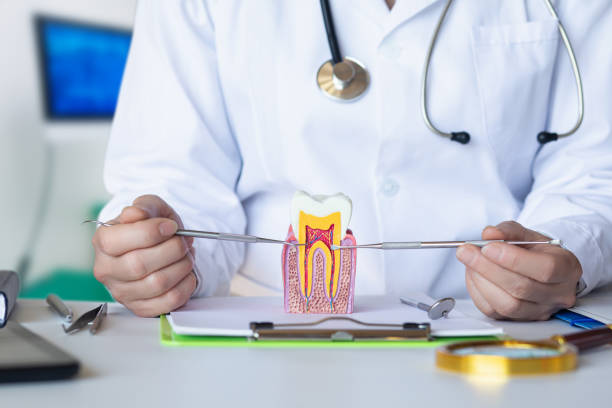 Best Urgent Dental Care for Toothache in Steelville, MO